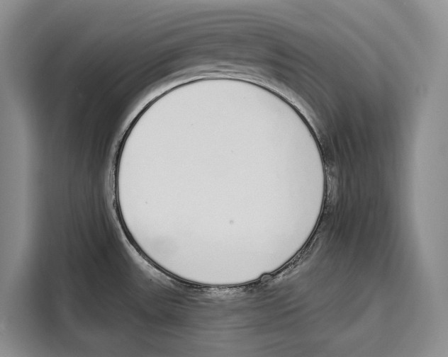 X0000115111531200911241317