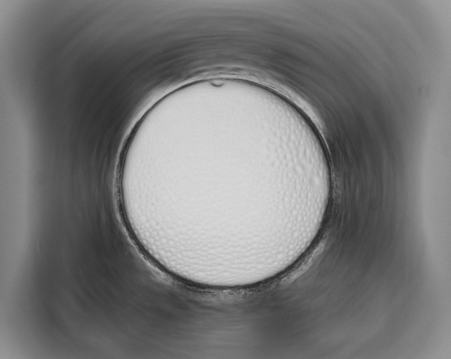 X0000115111533200911241317