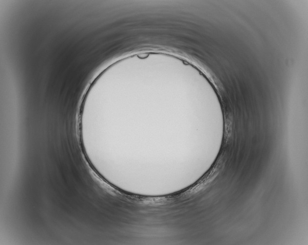 X0000115111535200911241317