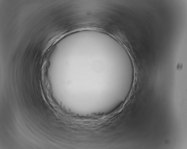 X0000115110001200912081332