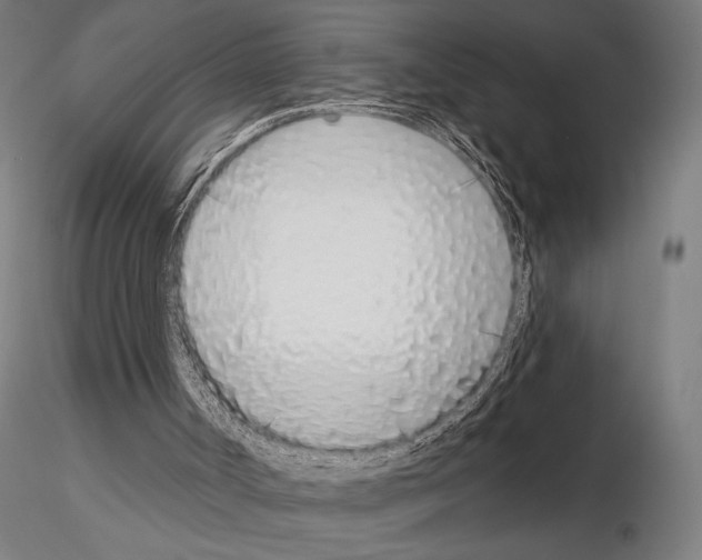 X0000115110002200912081332