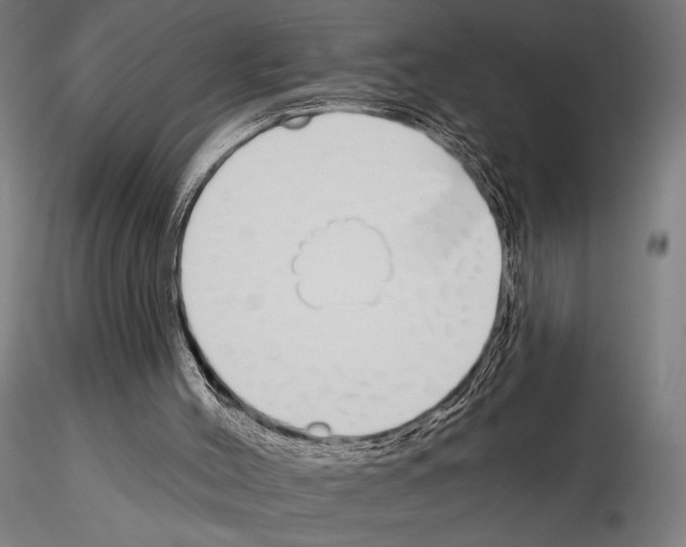 X0000115110004200912081332