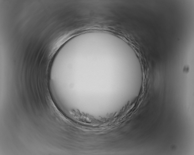 X0000115110005200912081332