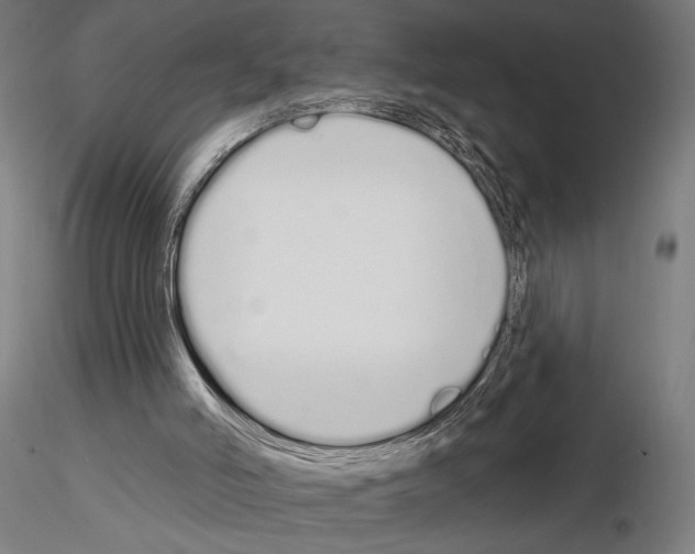 X0000115110006200912081332