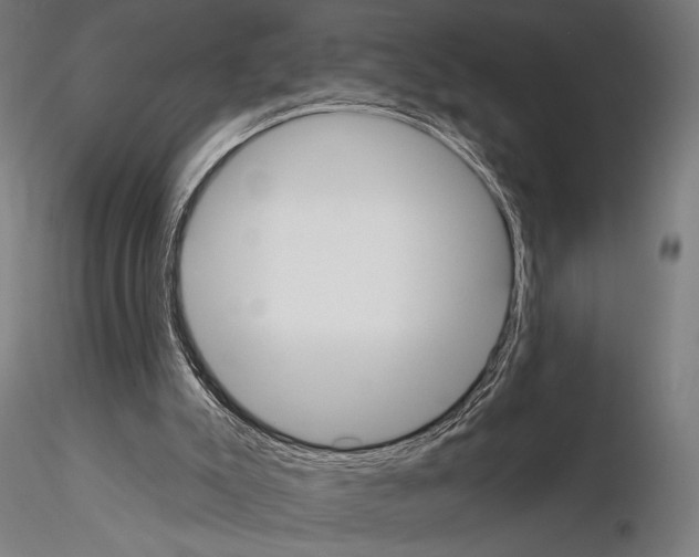 X0000115110007200912081332