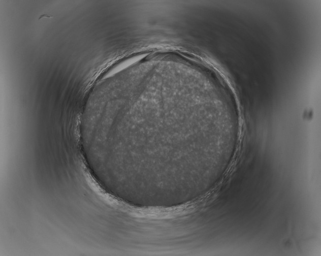 X0000115110009200912081332