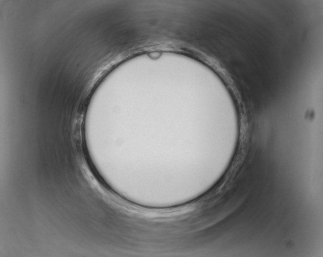 X0000115110010200912081332