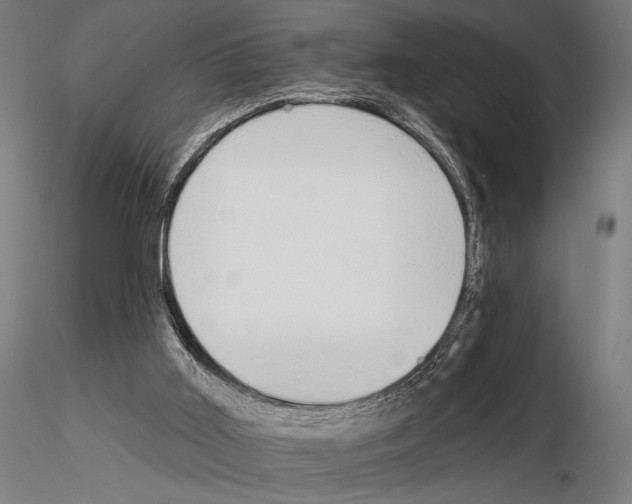 X0000115110011200912081332