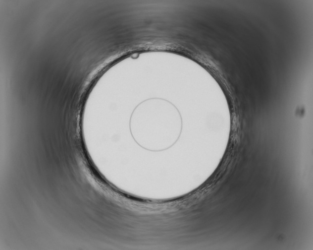 X0000115110012200912081332