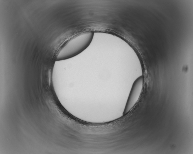 X0000115110013200912081332