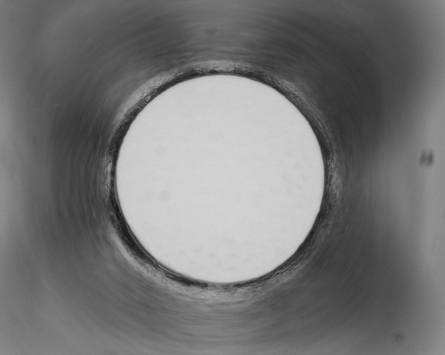 X0000115110016200912081332