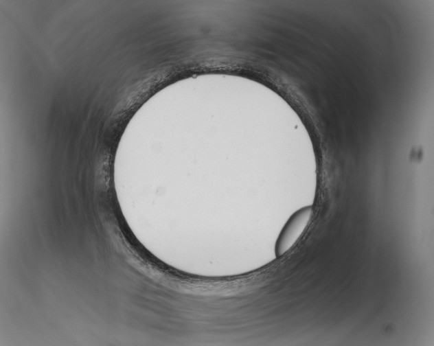 X0000115110017200912081332