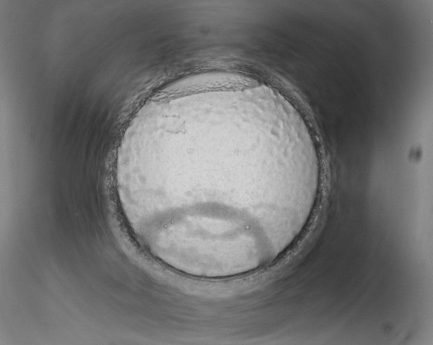 X0000115110018200912081332