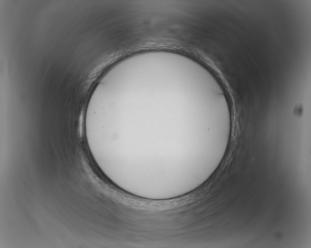 X0000115110019200912081332