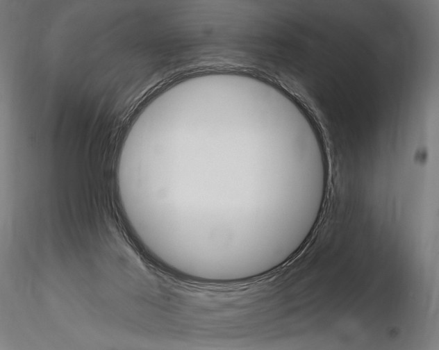 X0000115110021200912081332