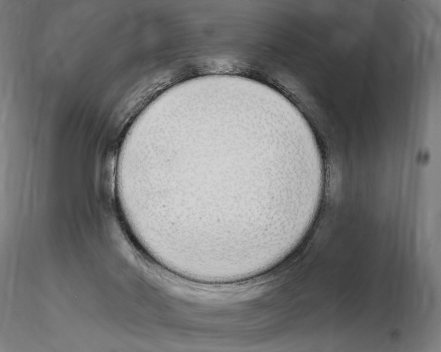 X0000115110022200912081332