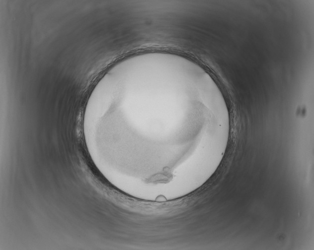 X0000115110023200912081332