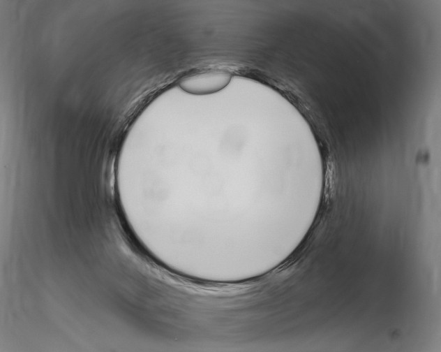 X0000115110024200912081332