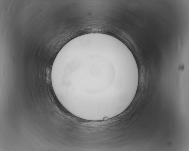 X0000115110025200912081332