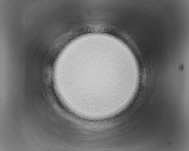 X0000115110026200912081332