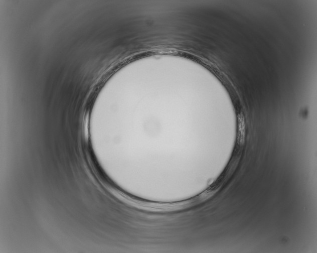 X0000115110028200912081332