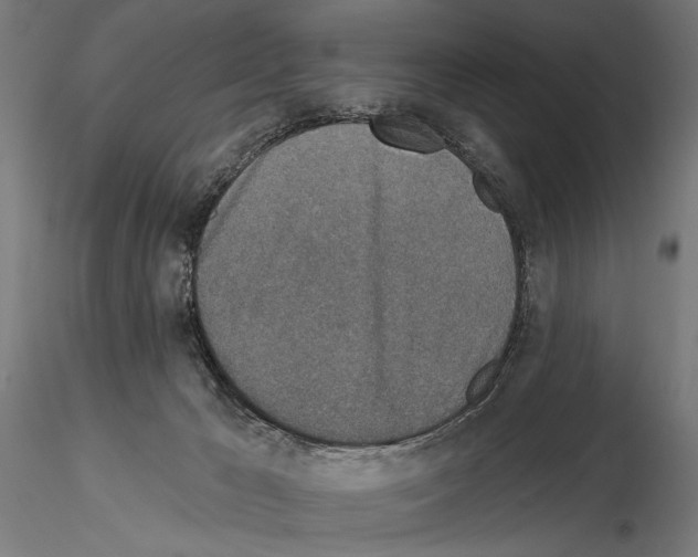 X0000115110029200912081332