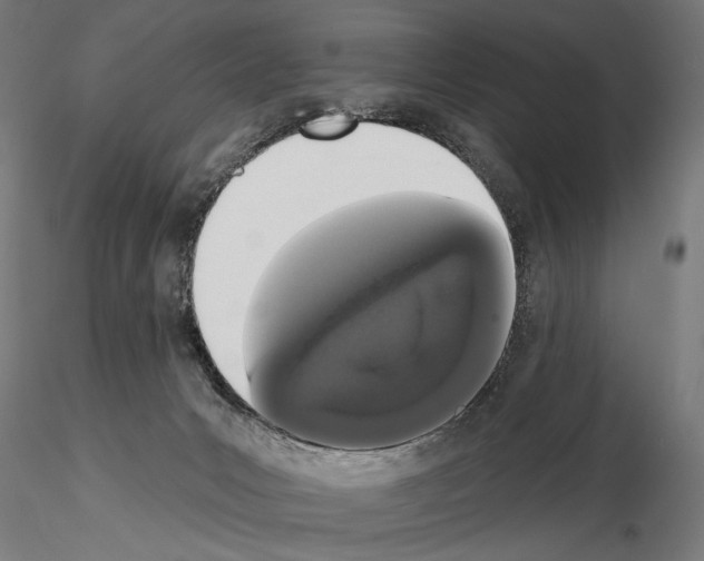 X0000115110031200912081332