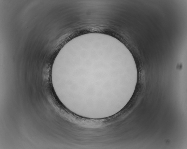 X0000115110032200912081332