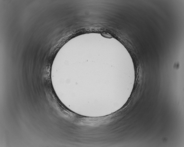 X0000115110033200912081332