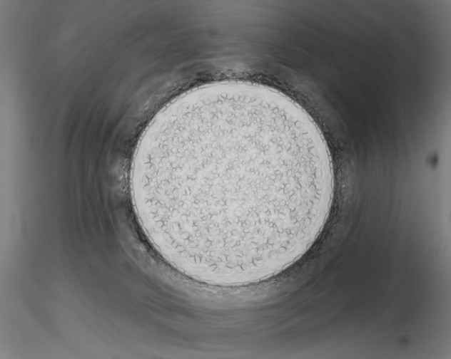 X0000115110034200912081332