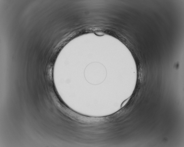 X0000115110036200912081332