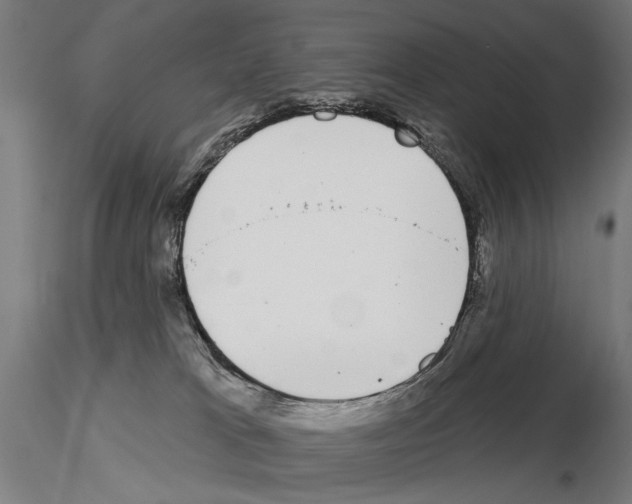 X0000115110037200912081331