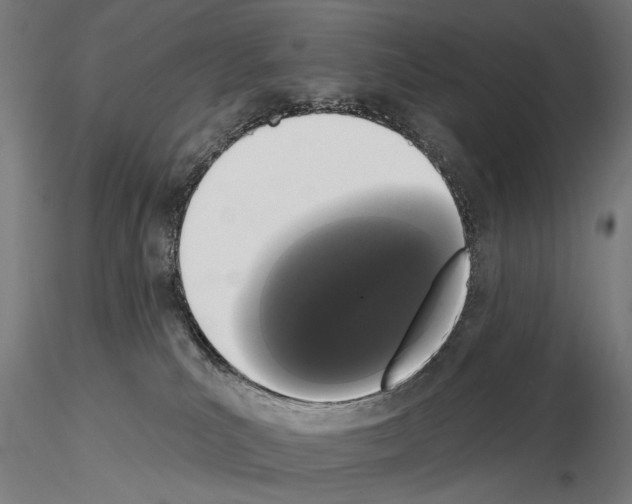 X0000115110039200912081331