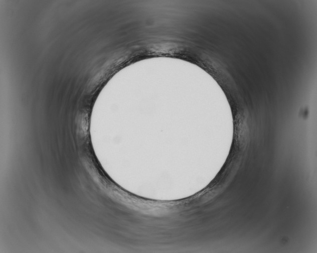 X0000115110040200912081331