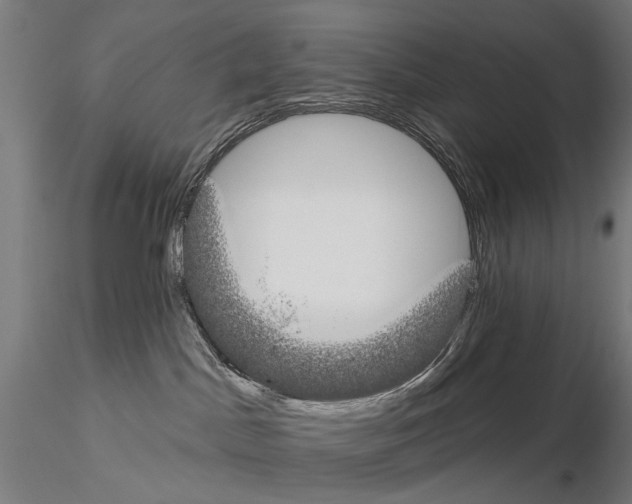 X0000115110045200912081331