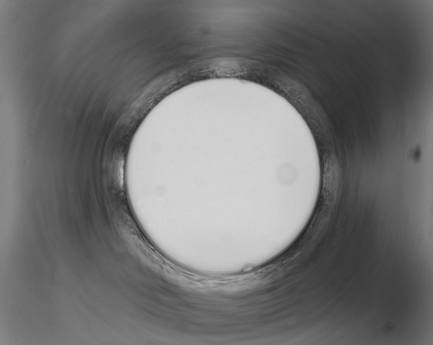 X0000115110046200912081331