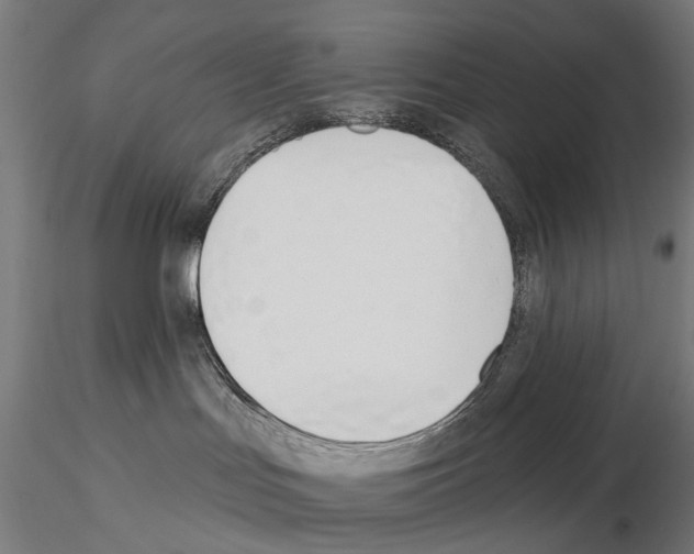 X0000115110047200912081331