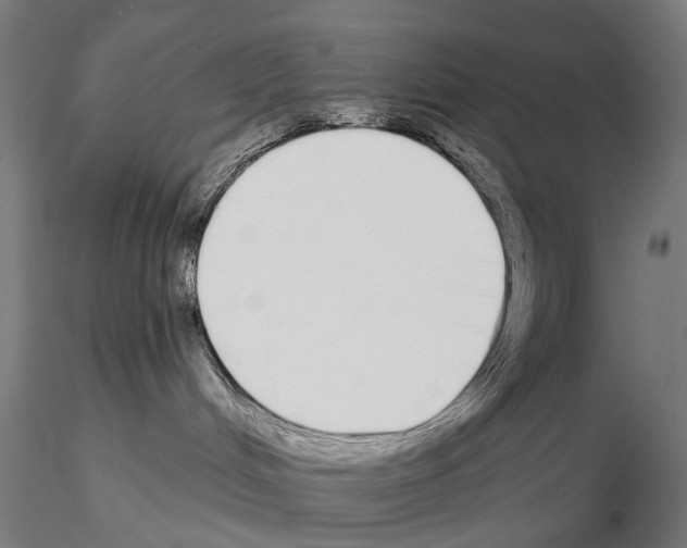 X0000115110048200912081331