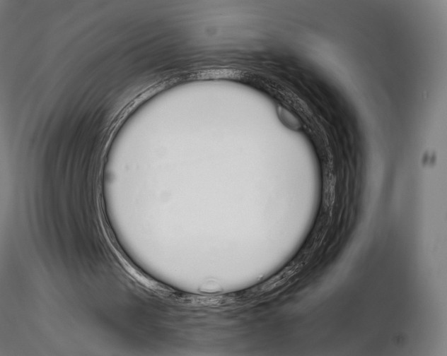 X0000115110049200912081331