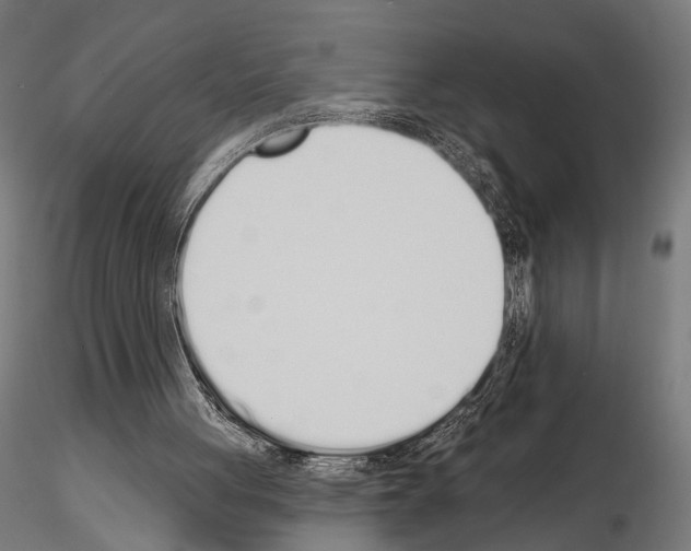 X0000115110051200912081331