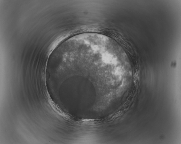 X0000115110052200912081331