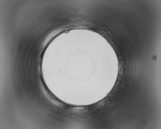 X0000115110054200912081331