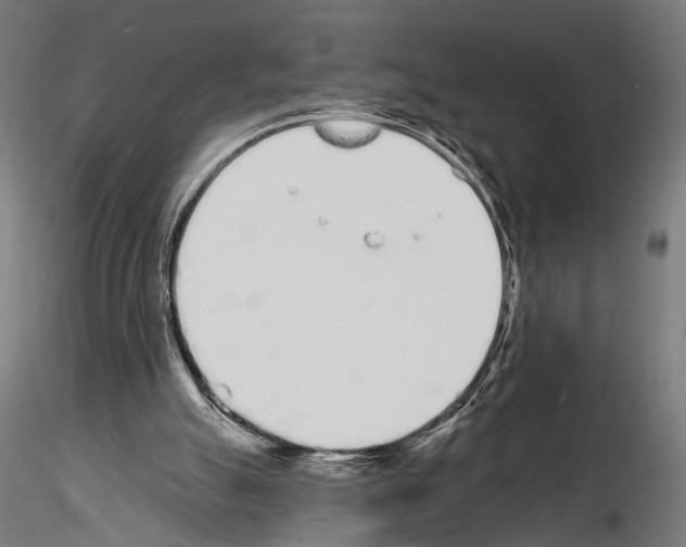 X0000115110055200912081331