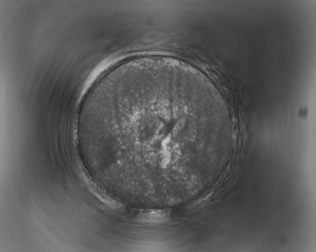 X0000115110056200912081331