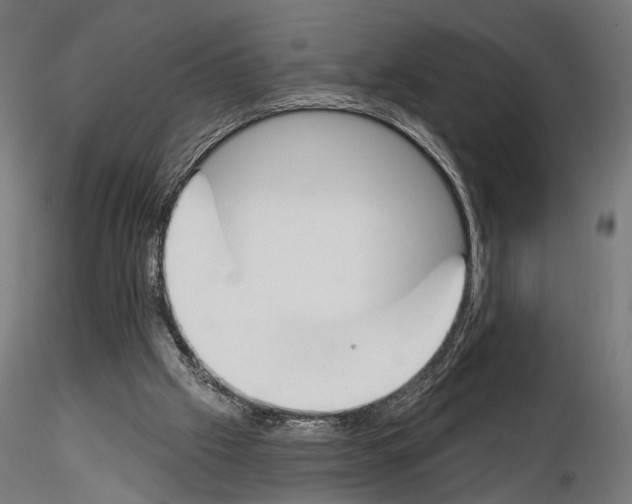 X0000115110057200912081331