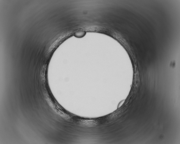 X0000115110058200912081331