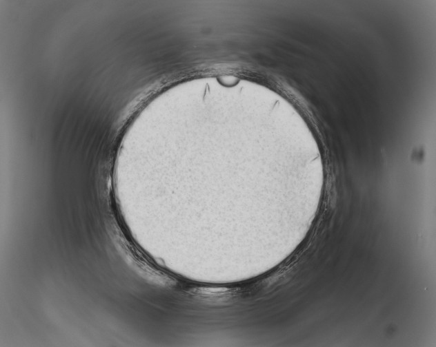 X0000115110059200912081331