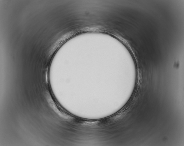 X0000115110061200912081331