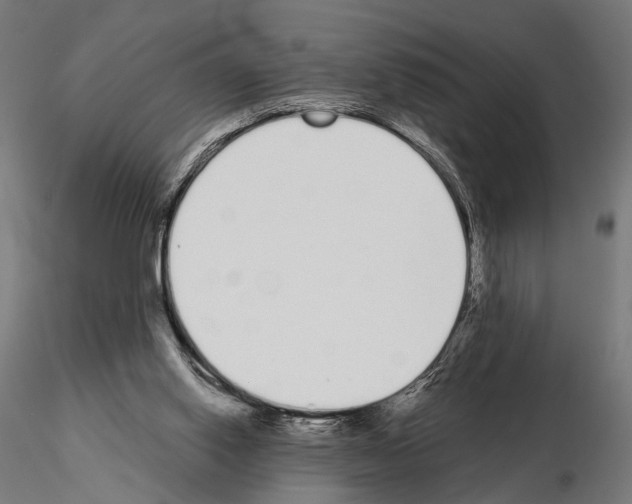 X0000115110062200912081331