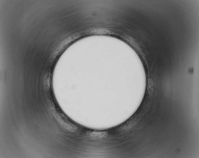 X0000115110063200912081331